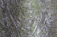 Ton Breigam fibreglass roof work